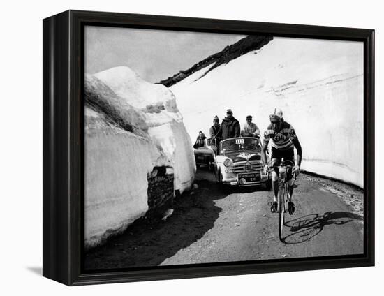 Charly Gaul in a Climb During the 42nd Giro D'Italia-Angelo Cozzi-Framed Premier Image Canvas