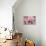 Charm on Pink painting-Helen White-Giclee Print displayed on a wall