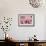 Charm on Pink painting-Helen White-Framed Giclee Print displayed on a wall