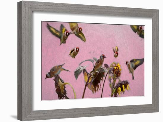 Charm on Pink painting-Helen White-Framed Giclee Print