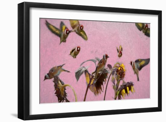 Charm on Pink painting-Helen White-Framed Giclee Print