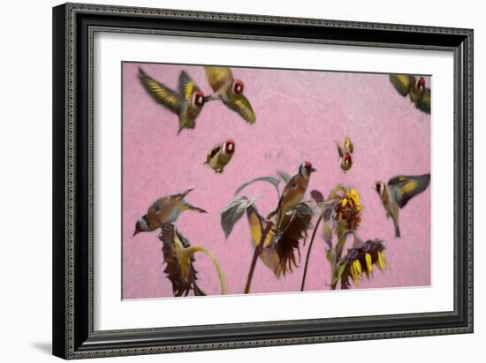 Charm on Pink painting-Helen White-Framed Giclee Print