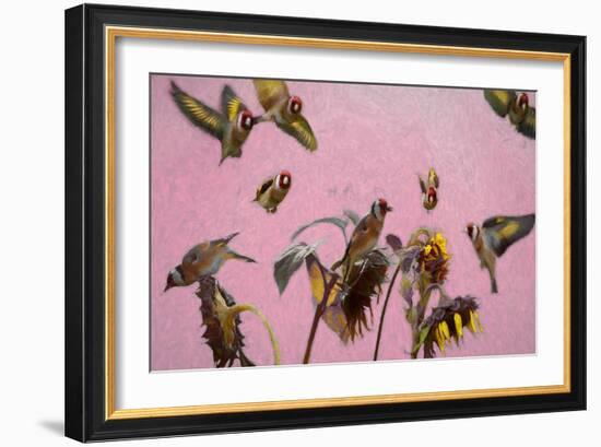 Charm on Pink painting-Helen White-Framed Giclee Print