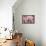 Charm on Pink painting-Helen White-Framed Premier Image Canvas displayed on a wall