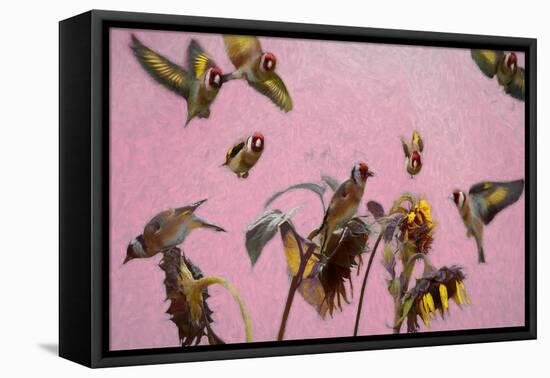 Charm on Pink painting-Helen White-Framed Premier Image Canvas