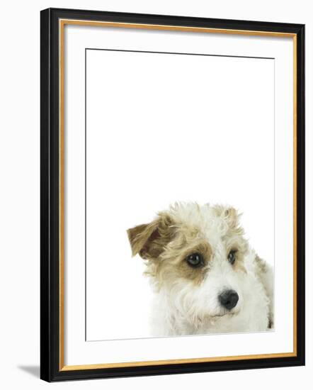 Charming Canine-Assaf Frank-Framed Giclee Print