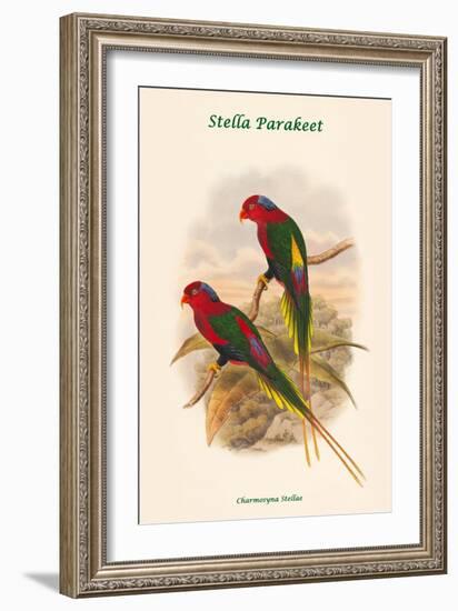 Charmosyna Stellae - Stella Parakeet-John Gould-Framed Art Print