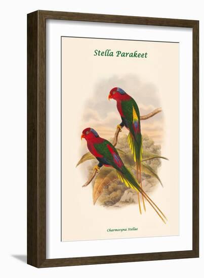 Charmosyna Stellae - Stella Parakeet-John Gould-Framed Art Print