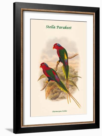 Charmosyna Stellae - Stella Parakeet-John Gould-Framed Art Print