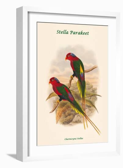 Charmosyna Stellae - Stella Parakeet-John Gould-Framed Art Print