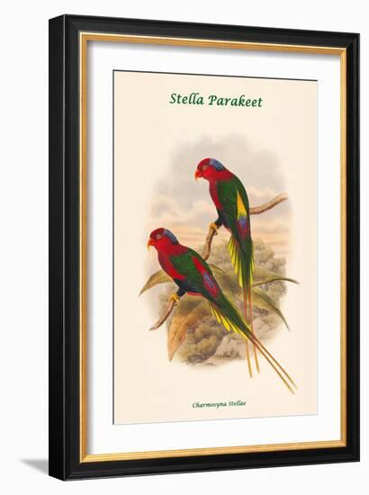 Charmosyna Stellae - Stella Parakeet-John Gould-Framed Art Print