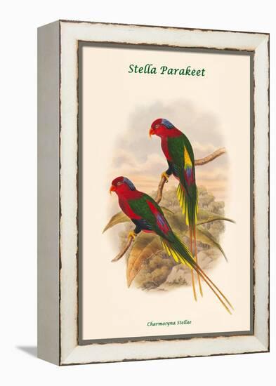 Charmosyna Stellae - Stella Parakeet-John Gould-Framed Stretched Canvas