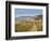 Charmouth, Jurassic Coast, UNESCO World Heritage Site, Dorset, England, United Kingdom, Europe-David Hughes-Framed Photographic Print