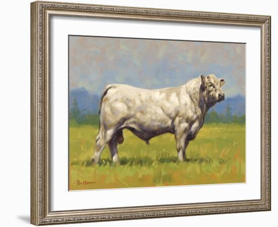 Charolais Bull-Peter Munro-Framed Premium Giclee Print