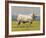 Charolais Bull-Peter Munro-Framed Premium Giclee Print