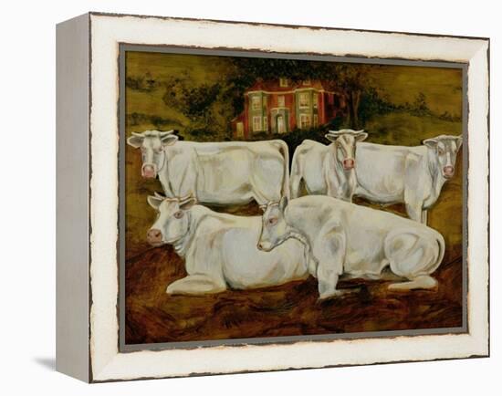 Charolais Bulls, Dippenhall, Farnham-Gareth Lloyd Ball-Framed Premier Image Canvas