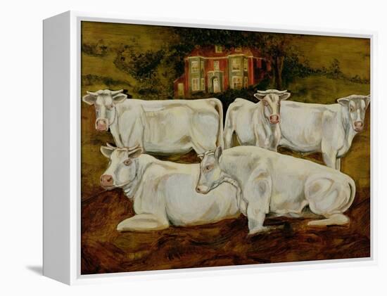 Charolais Bulls, Dippenhall, Farnham-Gareth Lloyd Ball-Framed Premier Image Canvas