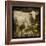 Charolais-Dawne Polis-Framed Art Print