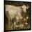 Charolais-Dawne Polis-Mounted Art Print