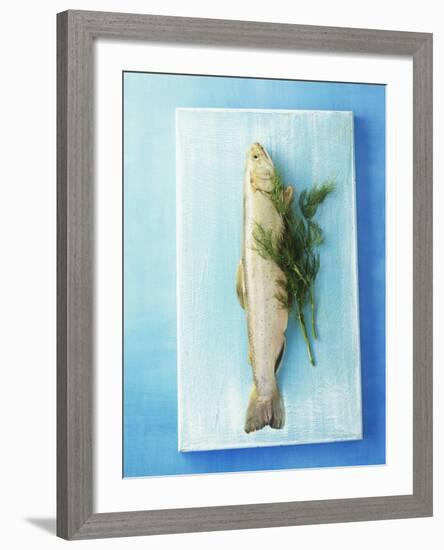 Charr with Dill-Oliver Schwarzwald-Framed Photographic Print