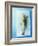 Charr with Dill-Oliver Schwarzwald-Framed Photographic Print