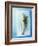 Charr with Dill-Oliver Schwarzwald-Framed Photographic Print