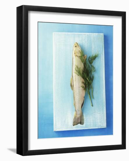 Charr with Dill-Oliver Schwarzwald-Framed Photographic Print