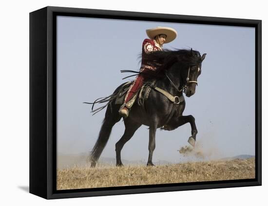 Charro on a Black Andalusian Stallion Galloping in Ojai, California, USA-Carol Walker-Framed Premier Image Canvas