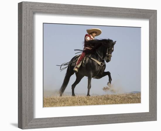 Charro on a Black Andalusian Stallion Galloping in Ojai, California, USA-Carol Walker-Framed Photographic Print