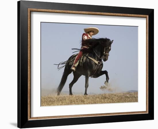 Charro on a Black Andalusian Stallion Galloping in Ojai, California, USA-Carol Walker-Framed Photographic Print