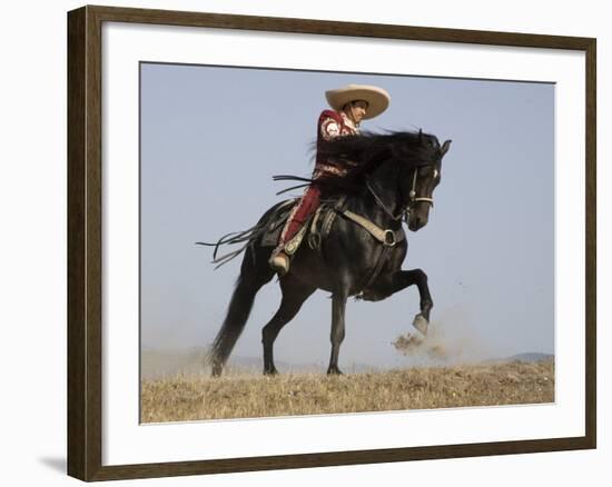 Charro on a Black Andalusian Stallion Galloping in Ojai, California, USA-Carol Walker-Framed Photographic Print