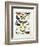 Chart Illustrating Butterflies and Moths, England, 19th Century-null-Framed Giclee Print