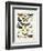 Chart Illustrating Butterflies and Moths, England, 19th Century-null-Framed Giclee Print