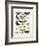 Chart Illustrating Butterflies and Moths, England, 19th Century-null-Framed Giclee Print