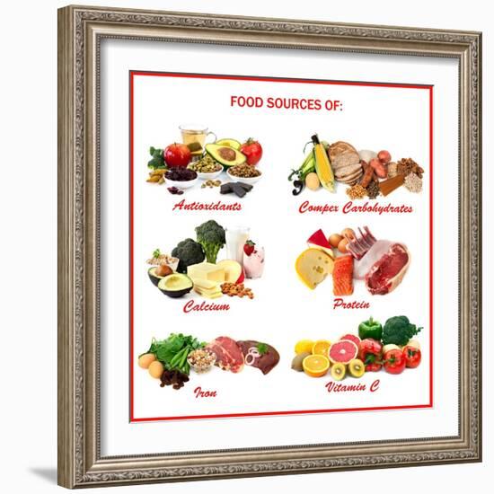 Chart Showing Food Sources of Various Nutrients-Robyn Mackenzie-Framed Art Print