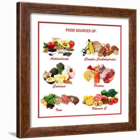 Chart Showing Food Sources of Various Nutrients-Robyn Mackenzie-Framed Art Print