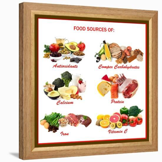 Chart Showing Food Sources of Various Nutrients-Robyn Mackenzie-Framed Stretched Canvas