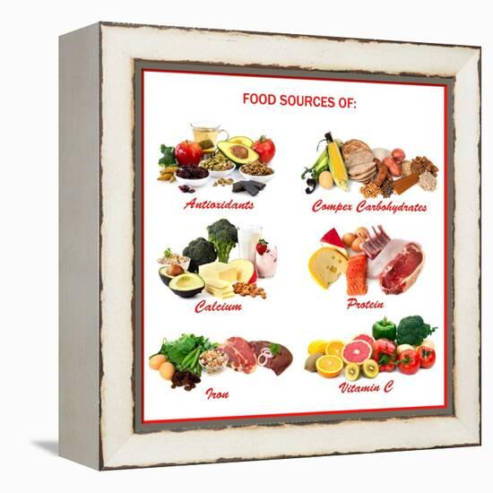 Chart Showing Food Sources of Various Nutrients-Robyn Mackenzie-Framed Stretched Canvas