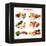 Chart Showing Food Sources of Various Nutrients-Robyn Mackenzie-Framed Stretched Canvas