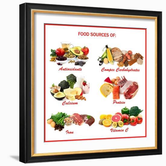 Chart Showing Food Sources of Various Nutrients-Robyn Mackenzie-Framed Premium Giclee Print