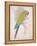 Chartreuse Tropical-Chad Barrett-Framed Stretched Canvas