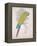 Chartreuse Tropical-Chad Barrett-Framed Stretched Canvas