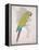 Chartreuse Tropical-Chad Barrett-Framed Stretched Canvas