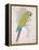 Chartreuse Tropical-Chad Barrett-Framed Stretched Canvas