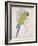 Chartreuse Tropical-Chad Barrett-Framed Art Print