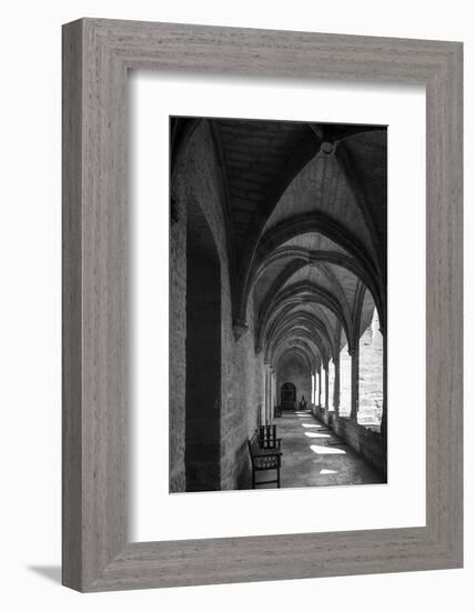 chartreuse Val de Bénédiction, cloister, cloister, Villeneuve lès Avignon, -Klaus Neuner-Framed Photographic Print