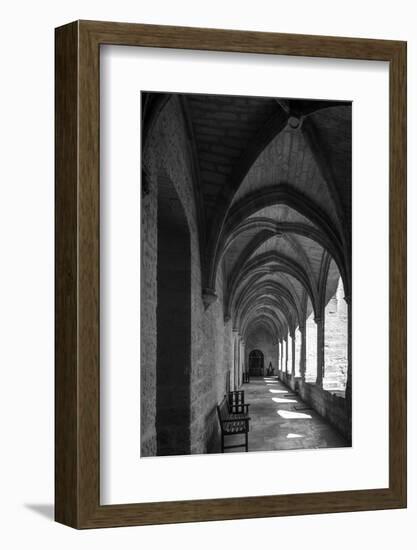 chartreuse Val de Bénédiction, cloister, cloister, Villeneuve lès Avignon, -Klaus Neuner-Framed Photographic Print