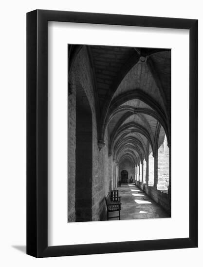 chartreuse Val de Bénédiction, cloister, cloister, Villeneuve lès Avignon, -Klaus Neuner-Framed Photographic Print