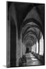 chartreuse Val de Bénédiction, cloister, cloister, Villeneuve lès Avignon, -Klaus Neuner-Mounted Photographic Print