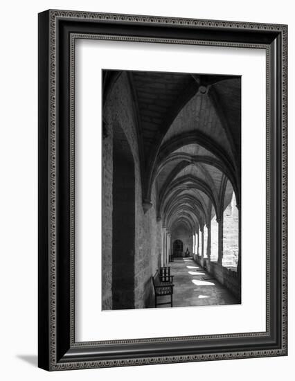 chartreuse Val de Bénédiction, cloister, cloister, Villeneuve lès Avignon, -Klaus Neuner-Framed Photographic Print